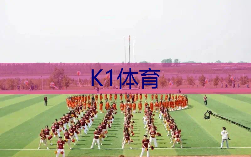 回弹球网球拍怎么用